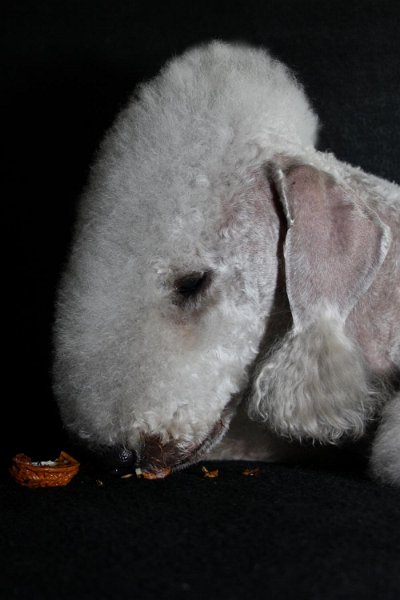 2010-11-14 Svet (17).jpg